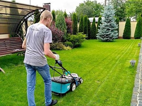 Когда последний раз косить газон перед зимой. Особенности осеннего ухода