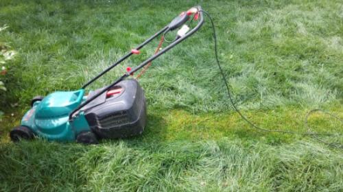 Как стричь переросший газон. Что делать, если ваш газон «перерос»?