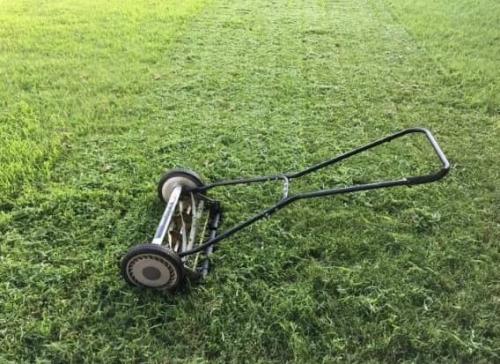 Когда последний раз косить газон перед зимой. Особенности осеннего ухода