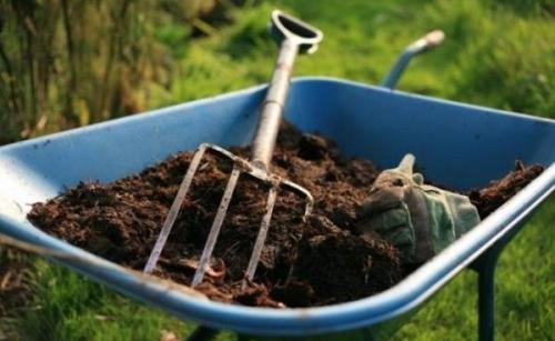 Чем опасен навоз. В чем вред навоза