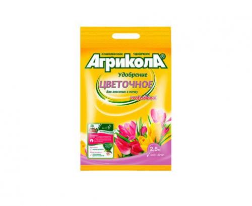 Какие удобрения использовать для лилий осенью. Выбор удобрения для подкормки лилий осенью