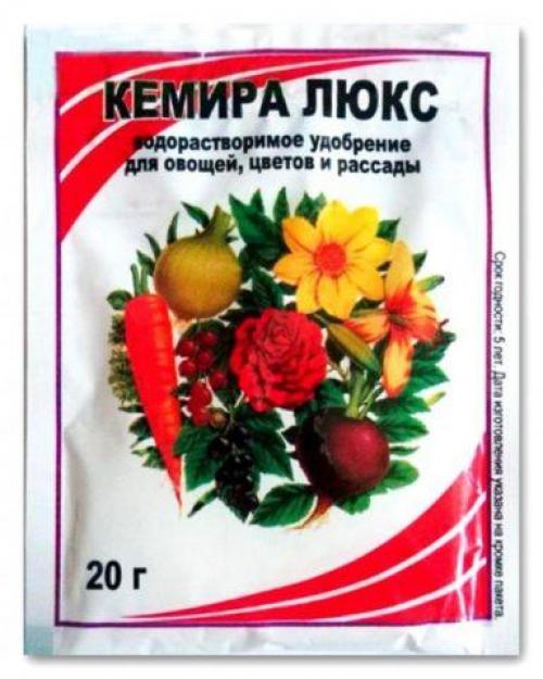 Какие удобрения использовать для лилий осенью. Выбор удобрения для подкормки лилий осенью