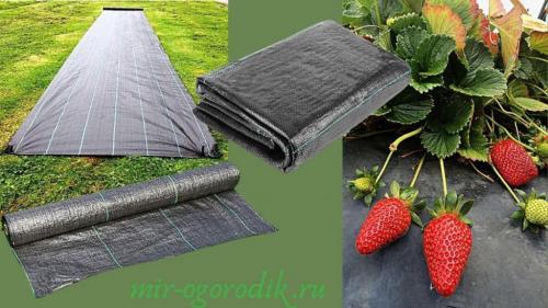 Спанбонд для клубники плотность. Виды покрытия