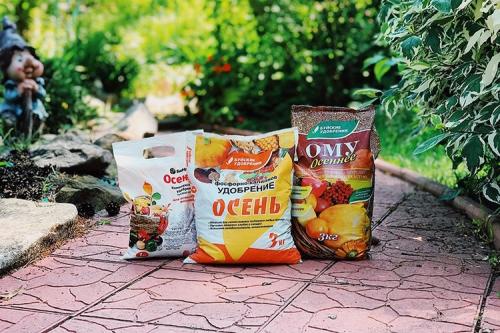 Осеннее внесение удобрений в огороде. Осенние удобрения под перекопку в огороде и в саду: какие и как вносить