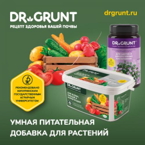 Удобрение под перекопку весной. Чем лучше удобрять почву весной