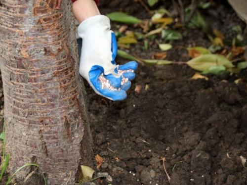 Как использовать удобрение осень. «Осенние» комплексные удобрения для садовых культур