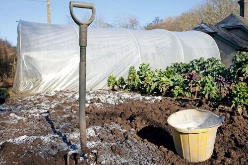 Осеннее внесение удобрений в огороде. Осенние удобрения под перекопку в огороде и в саду: какие и как вносить