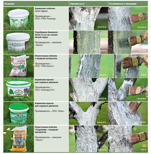 Советы по подготовке кустарников к зимовке. 8 советов по подготовке сада к зиме 17