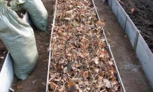 Работы в саду и огороде осенью. Осенние работы в огороде: ноябрь 05