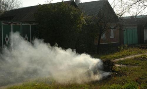 Работы в саду и огороде осенью. Осенние работы в огороде: ноябрь 01