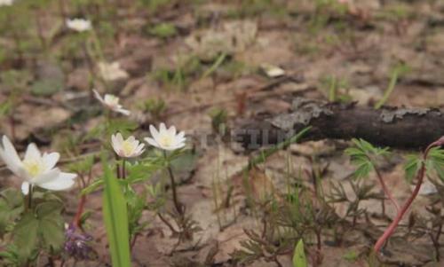 Работы в саду и огороде осенью. Осенние работы в огороде: ноябрь 06