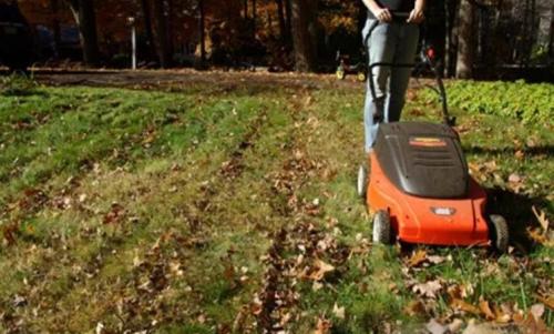 Работы в саду и огороде осенью. Осенние работы в огороде: ноябрь 02