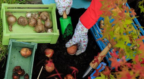 Работы в саду и огороде осенью. Осенние работы в огороде: ноябрь 12