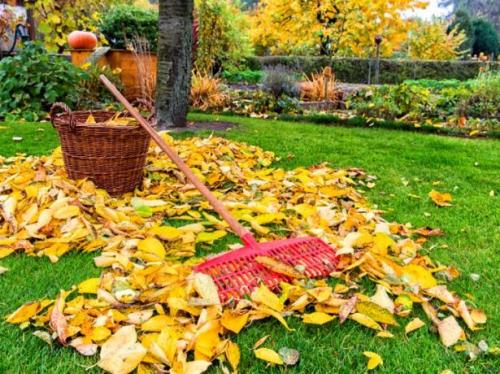 Подготовка сада и огорода к зиме после сбора урожая. Осенняя уборка сада и огорода после урожая