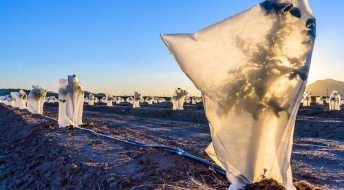 Подготовка садовых растений к зимовке. Добавление статьи в новую подборку 05 Подготовка садовых растений к зимовке. Добавление статьи в новую подборку 05