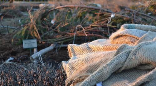 Подготовка садовых растений к зимовке. Добавление статьи в новую подборку 07 Подготовка садовых растений к зимовке. Добавление статьи в новую подборку 07