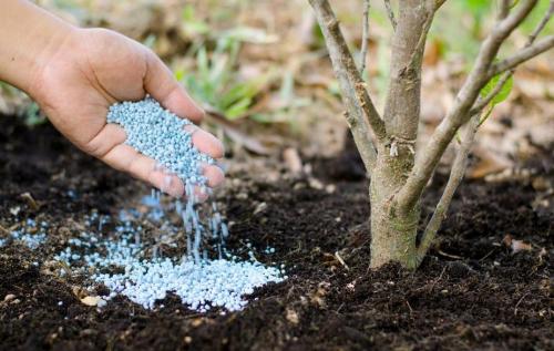 Подготовка сада и огорода к зиме после сбора урожая. Осенняя уборка сада и огорода после урожая 14