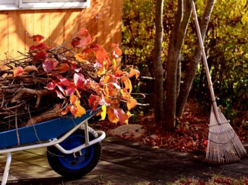 Подготовка сада и огорода к зиме после сбора урожая. Осенняя уборка сада и огорода после урожая