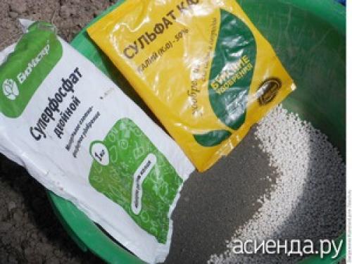 Какие удобрения вносить осенью под малину. Подкормка малины