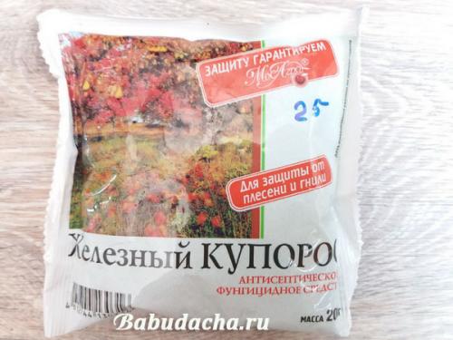 Обработка сада осенью железным купоросом. Деревья в саду