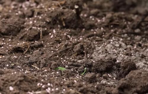 Чем удобрить истощенную землю. Спосо.  Известкование