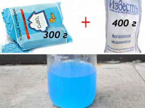 Обработка плодовых деревьев перед зимой. Обработка сада перед зимой: чем опрыскать от всех болезней