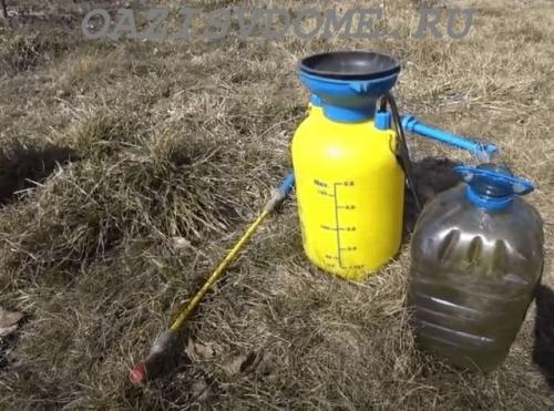 Обработка деревьев осенью железным купоросом. Какой раствор для чего применять