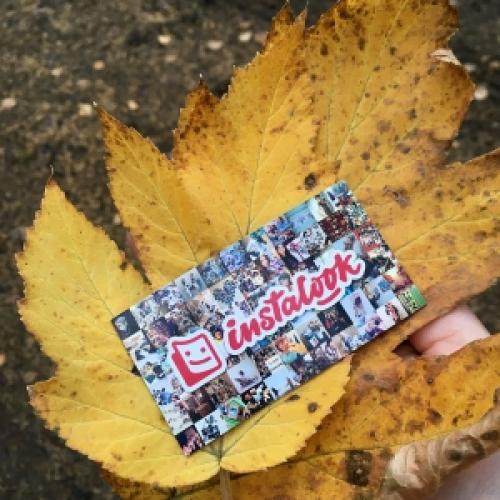 Что делать осенью в саду и огороде. Подготовка огорода к зиме 14