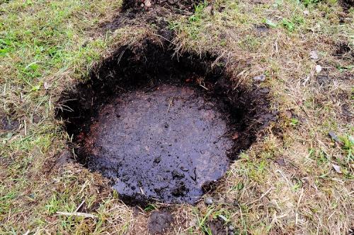 С чем нельзя смешивать доломитовую муку. Весной