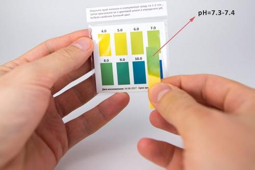 С чем нельзя смешивать доломитовую муку. Весной