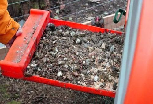 Куриный помет, как удобрение осенью. Чем полезны органические удобрения