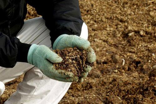 Удобрение под перекопку весной. Какие удобрения вносить весной?