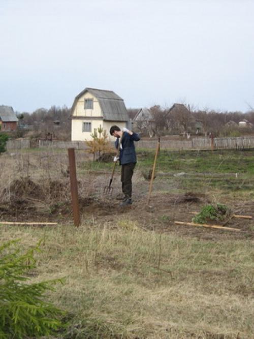 Работы в саду в ноябре. Что можно делать на участке в ноябре: обработка сада