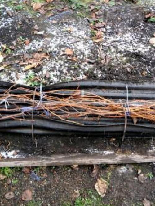 Работы в саду в ноябре. Что можно делать на участке в ноябре: обработка сада