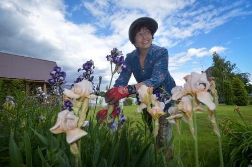 Как помочь огурцам после града. Град и ливни нипочем: как защитить и приумножить урожай в аномальную погоду