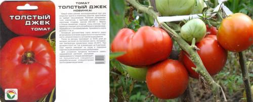 Низкорослые помидоры для открытого грунта. Крупноплодные и низкорослые для открытого грунта