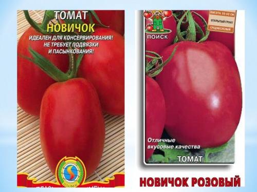 Семена помидор для открытого грунта низкорослые без пасынкования. Лучшие сорта низкорослых помидор без пасынкования для открытого грунта 15 Семена помидор для открытого грунта низкорослые без пасынкования. Лучшие сорта низкорослых помидор без пасынкования для открытого грунта 15