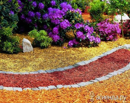 Как подготовить к зиме кустарники. Полезные сезонные советы для вечнозеленых кустарников Чтобы декоративные кустарники вашего сада радовали своим здоровым видом, отменным цветением будущими весной и летом, они должны успешно перезимовать. А для подготовки к зиме и нужен такой важный дачный сезон для каждого садовода, как осенний.