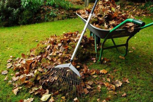 Подготовка молодого сада к зиме. Как подготовить сад к зиме