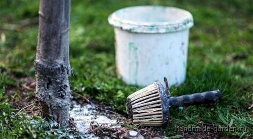 Как я готовлю молодые деревья к зимовке. Подготовка сада к зиме: укрытие молодых плодовых деревьев 08