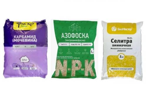 Конский навоз для малины. Какие удобрения нужны малине весной после зимы