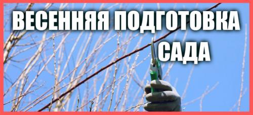 Подготовка плодово-ягодных культур к зиме. Подготовка к зиме кустарников 10