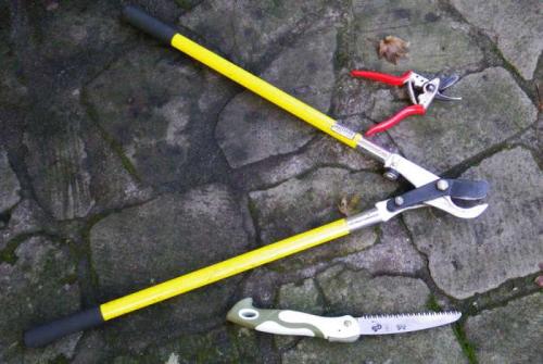 Как и когда правильно проводить осеннюю.. Когда проводить осеннюю обрезку 08