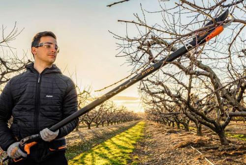 Как и когда правильно проводить осеннюю.. Когда проводить осеннюю обрезку 09