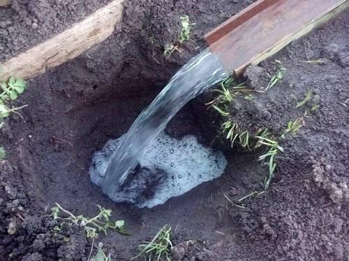 Борьба с кротами это новейший способ. Эффективные народные способы борьбы с кротами