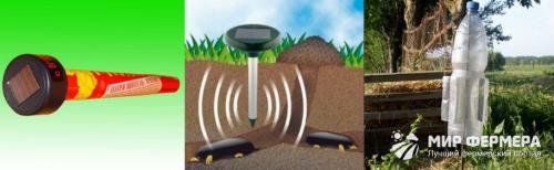 Как избавиться от кротов необычный , но эффективный способ. Как избавиться от кротов: самые эффективные способы