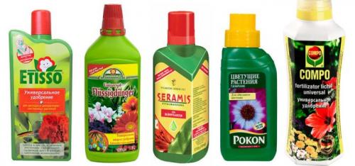 Удобрения для цветов осенние. Осенняя подкормка комнатных цветов: народные и промышленные удобрения для растений