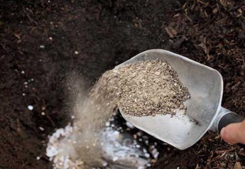 Удобрения для цветов осенние. Осенняя подкормка комнатных цветов: народные и промышленные удобрения для растений 13 Удобрения для цветов осенние. Осенняя подкормка комнатных цветов: народные и промышленные удобрения для растений 13