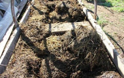 Какие удобрения вносить осенью. Что вносить под осеннюю перекопку