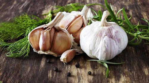 На каком расстоянии сажать лук и чеснок. Расстояние для посадки чеснока